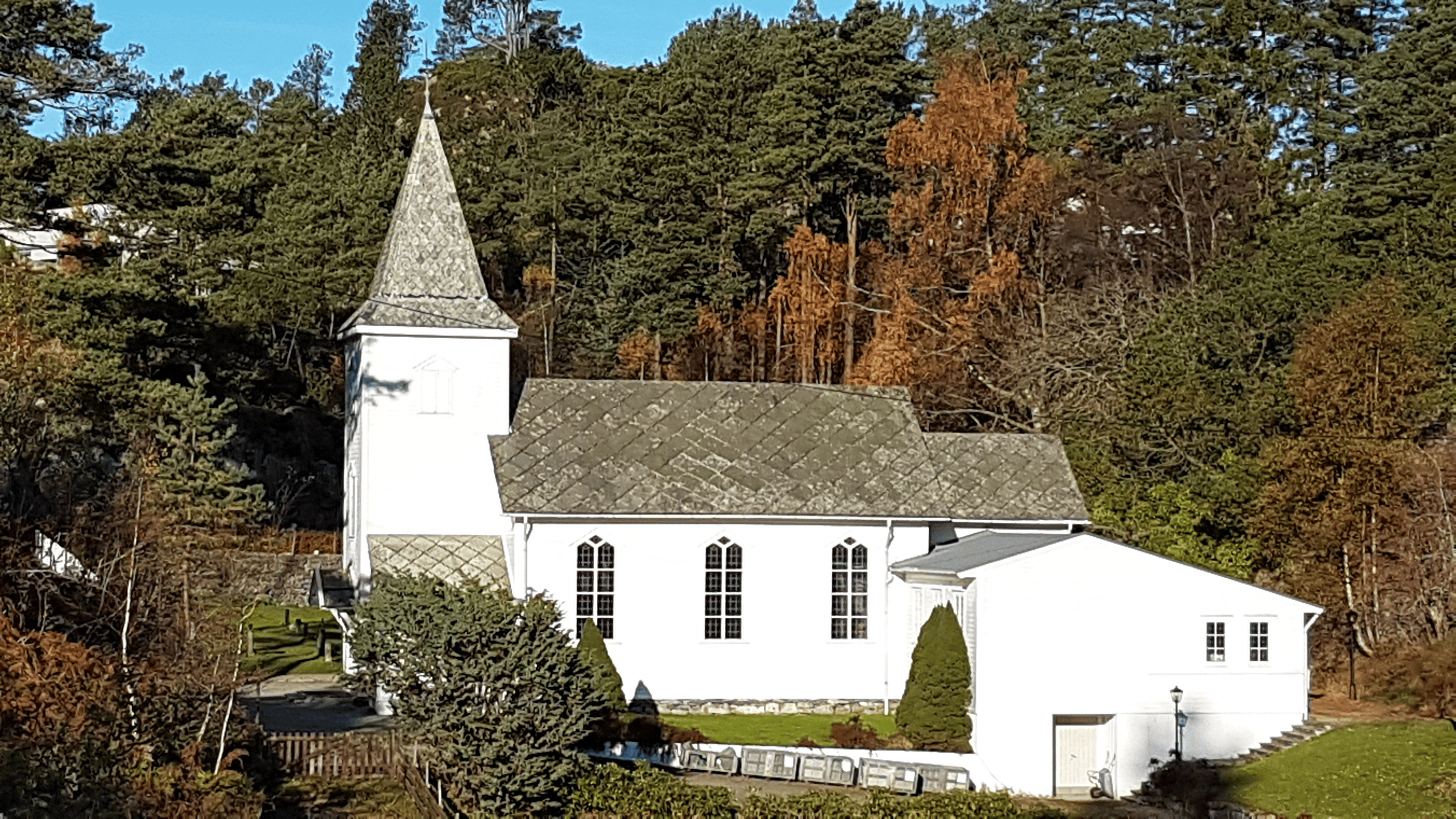 Bekkjarvik kyrkje omgitt av haustfargar i naturen. Den kvite murkyrkja med sitt karakteristiske tårn og skifertak står i kontrast til dei grøne og gylne trea rundt. Kyrkja si rolege og idylliske plassering blir framheva av den klåre himmelen og det frodige landskapet. Foto.