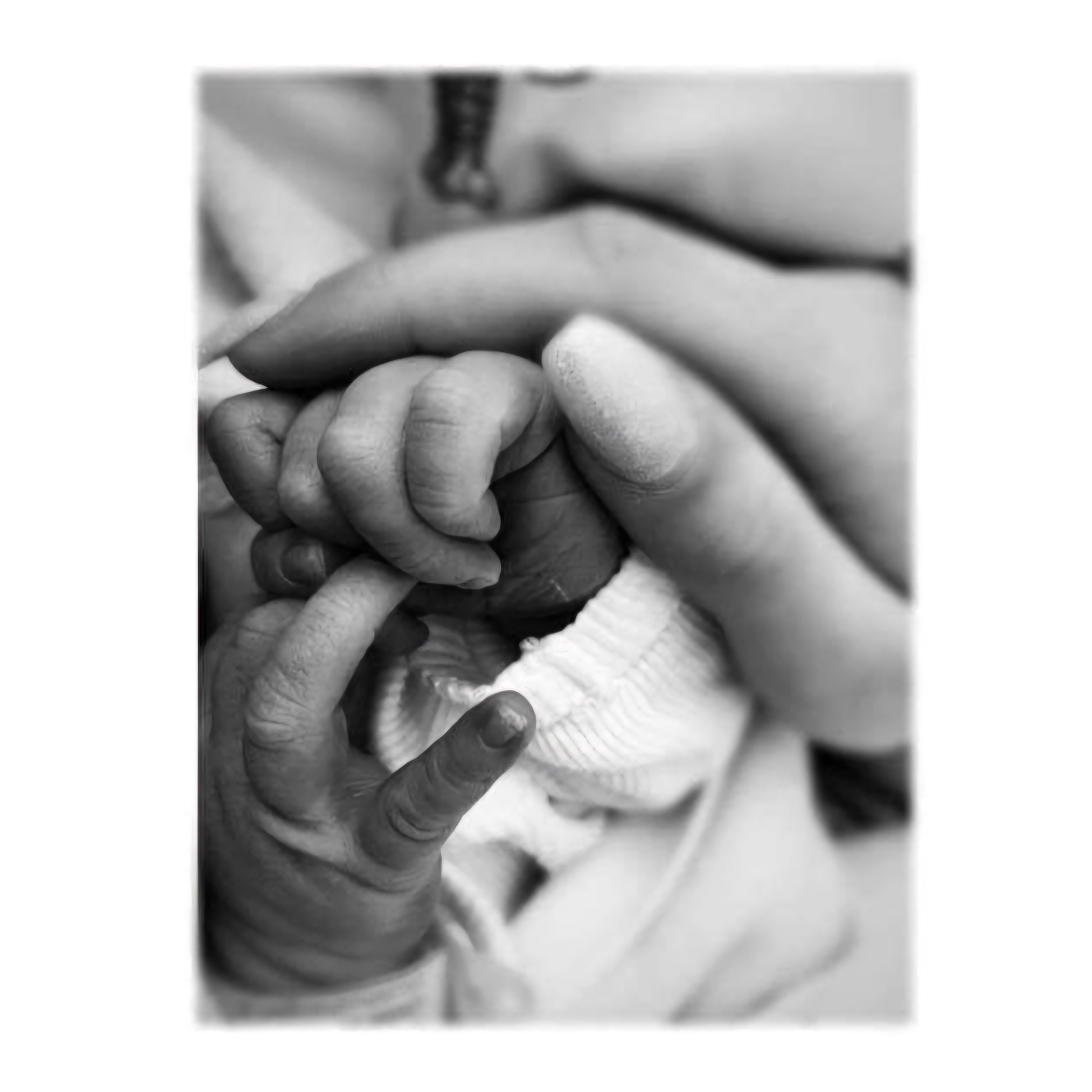 Voksen hand holder nyfødt babyhand